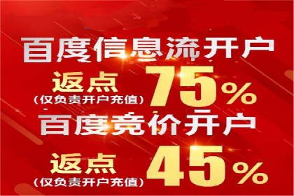 sem百度竞价成功案例：如何精准投放广告